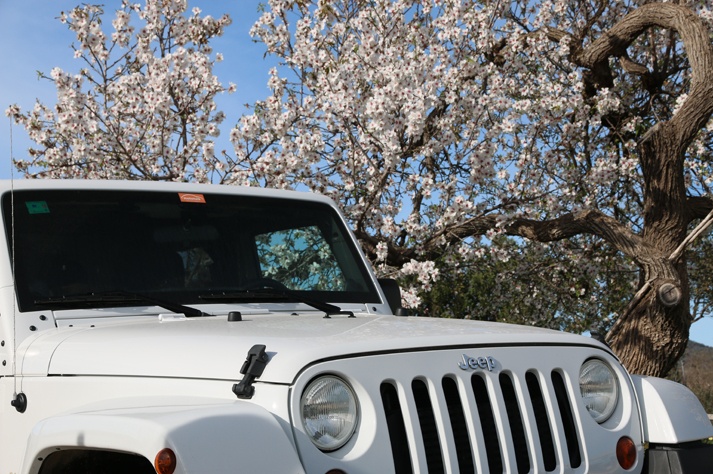 Ibiza in February hiking car rental