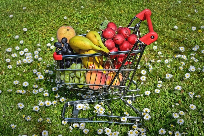 Tiendas ecologicas Ibiza — Moto Luis Ibiza