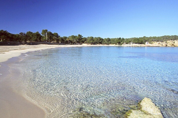 Cala Bassa, Ibiza
